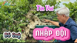 Theo Ông Tình chạy vội đi xem phôi Sanh cực Chất Ông Thọ Nhựa vừa nhập đội có gì đặc biệt