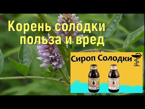 Видео: Побочные эффекты корня солодки: 7 причин, по которым они могут навредить вашему здоровью