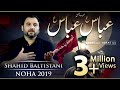 Nohay 2019  abbas abbas as   shahid baltistani 2019  noha mola abbas as  muharram 1441h