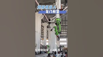 customized robot gantry  system #weldingrobot #weldingpositioner #machine #weldingautomation#robot