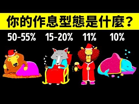 透過這個小測驗了解你的作息型態