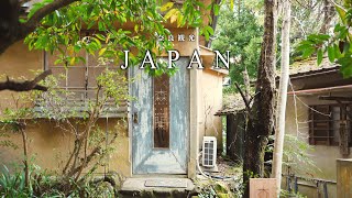Nara Travel] A Wonderful Cafe in a Forest in NaraNara Sightseeing/Cafe Tour