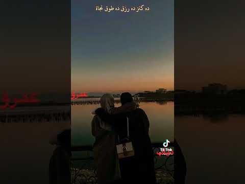 دايما في ضهري