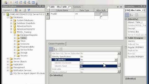 Creating the Products Table in Managment Studio.avi