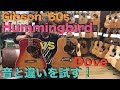 Gibson Vintage Hummingbird vs Dove 音の違いは？弾き比べ&解説！