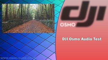 www.osmo-guide.co.uk - DJI Osmo Audio Test