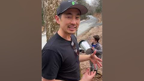 Sap Buckets: the traditional method of maple sugaring.
