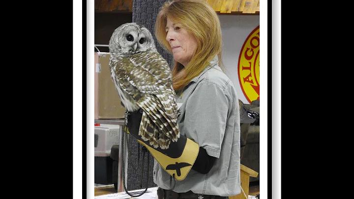 Algoma Bird City Celebration