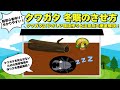クワガタにやさしい冬眠のさせ方 冬眠時の飼育環境の作り方と注意点を徹底解説！