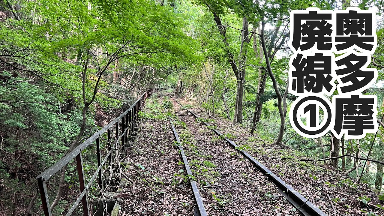 【水根貨物線・小河内線】奥多摩 廃線 ①