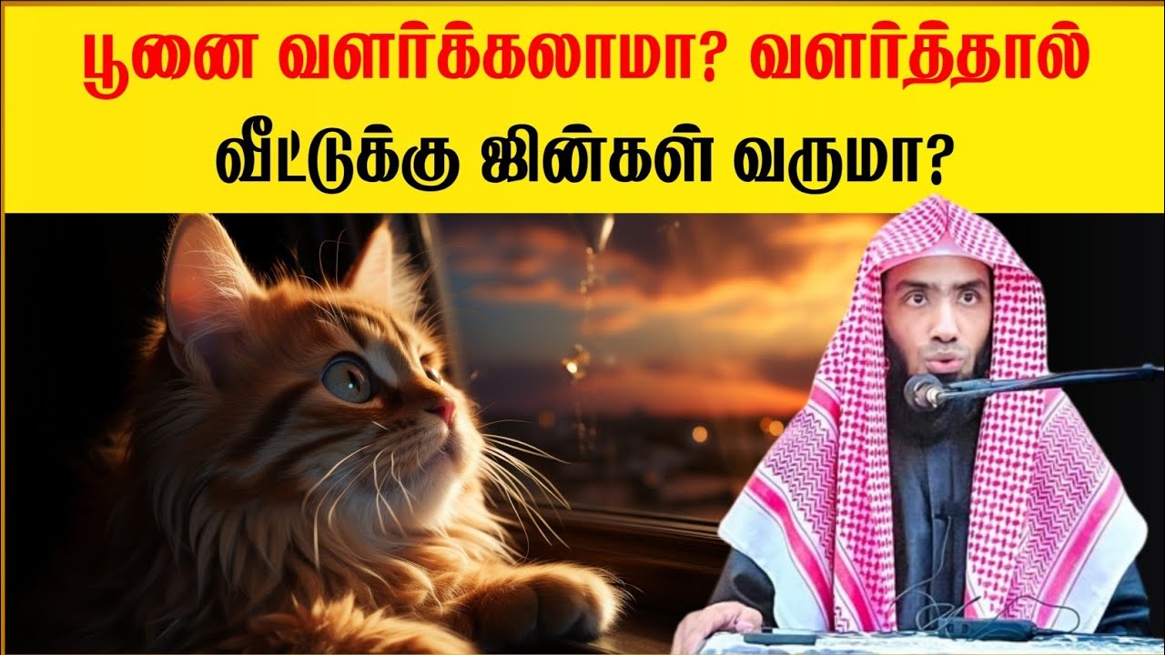 பூனை வளர்க்கலாமா? வளர்த்தால் வீட்டுக்கு ஜின்கள் வருமா? | Sheikh Mufaris Thajudeen Rashadi