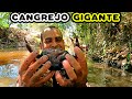 INCREÍBLE MONSTRUO DE RÍO! TAVO ATRAPA UN CANGREJO GIGANTE DE RÍO EN EL SALVADOR