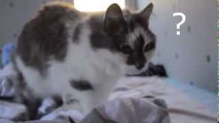 Justimusfilms Nost3 & Protro Suomen-Kiertue