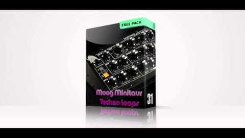 Spunkface Samplers Moog Minitaur Techno Loops