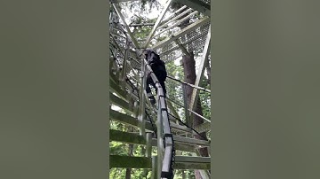 UBC Botanical Garden