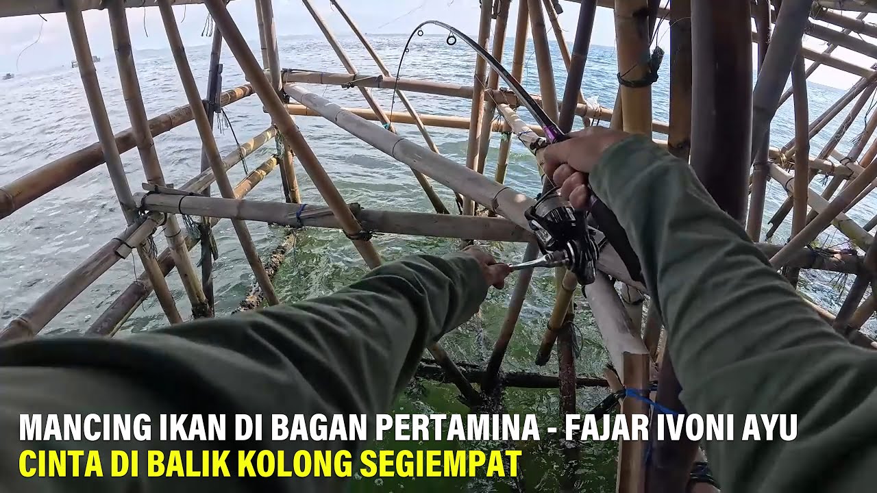 Mancing Ikan Di Bagan Pertamina Fajar Ivoni Ayu || Sarang Ikan Enak Ada Di Kolong 🤤 || Mancing Gaes
