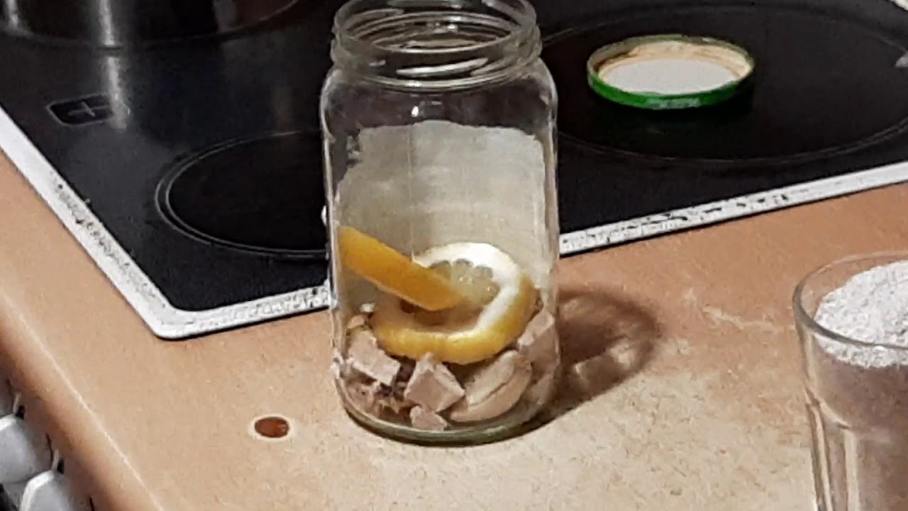 WG Kosakowo Maciej Włudzik zakwas probiotyczy Macieja Włudzik