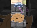 【ほっこり】寝込んだときだけ添い寝する犬