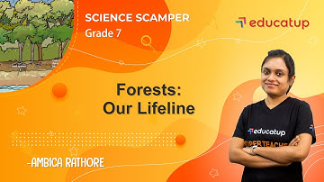 Forests: Our Lifeline | Class 7 Science Scamper | Chapter 17 | CBSE/NCERT @Educatup​
