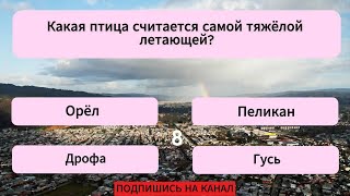 видео: 20 вопросов, которые покажут ГЕНИЙ вы или НЕТ! Тест на эрудицию картинка: 20 вопросов, которые покажут ГЕНИЙ вы или НЕТ! Тест на эрудицию