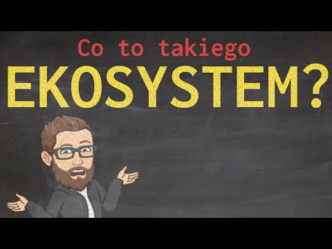 Wideo: Jakie Są Dowody, że Komponenty Lub Funkcje Ekosystemu Mają Wpływ Na Choroby Zakaźne? Systematyczny Protokół Przeglądu