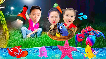 Changcady đi bắt cá buổi tối, phát hiện ra rất nhiều con vật thú vị, con cá, con cua, con đỉa