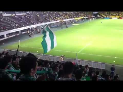 2011年第27節 vsジェフユナイテッド千葉 『コブラ』