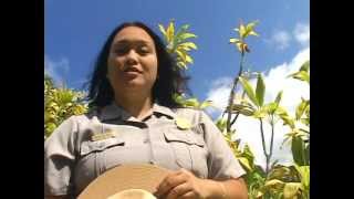 National Park of American Samoa in 62 Seconds