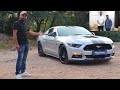 American Mustang With Indian Soorma | MCMR