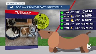 Dog-walking forecast (July 22, 2025)