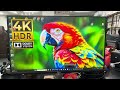 The Production Process for Creating Animal Videos on the 12K UHD WORLD Channel.