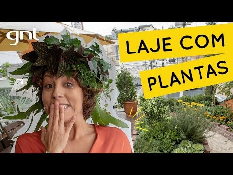 Laje de casa com diversidade de plantas | Jardinagem | Carol Costa