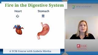 Heart and Stomach: Fire in the Digestive System, TCM Course with Izabela Mietka