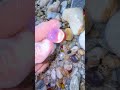 The Hidden Truth Behind "Pre-Cut" Beach Gems #beach #crystals #oceanpearl #satisfying