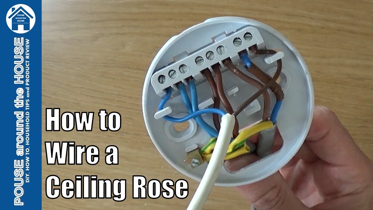 How to wire a ceiling rose - lighting circuits explained. Ceiling rose  pendant install! - YouTube  Wiring Diagram Ceiling Light    YouTube