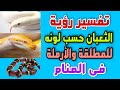 تفسير رؤية الثعبان حسب لونه للمطلقة والأرملة 