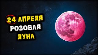 important! It's COMING very SOON! Pink MOON - April 24th! | Pink FULL MOON