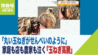 「丸い玉ねぎがせんべいのように」家庭も店も農家も泣く『玉ねぎ高騰』北海道の猛暑で（2022年5月10日）