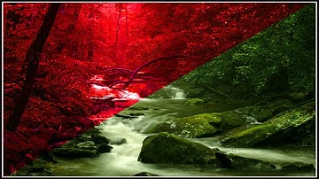 Photoshop [14] - Cách sử dụng mặt nạ để chỉnh vùng màu