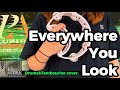 【タンバリン】「Everywhere You Look /KUZIRA」叩いてみた【KUZIRA】