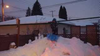 Daniel Sledding in backyard Winnipeg IMGP9639.AVI