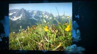 European Alps Lakes and Mountains - Lake Garda and Lake Lucerne
