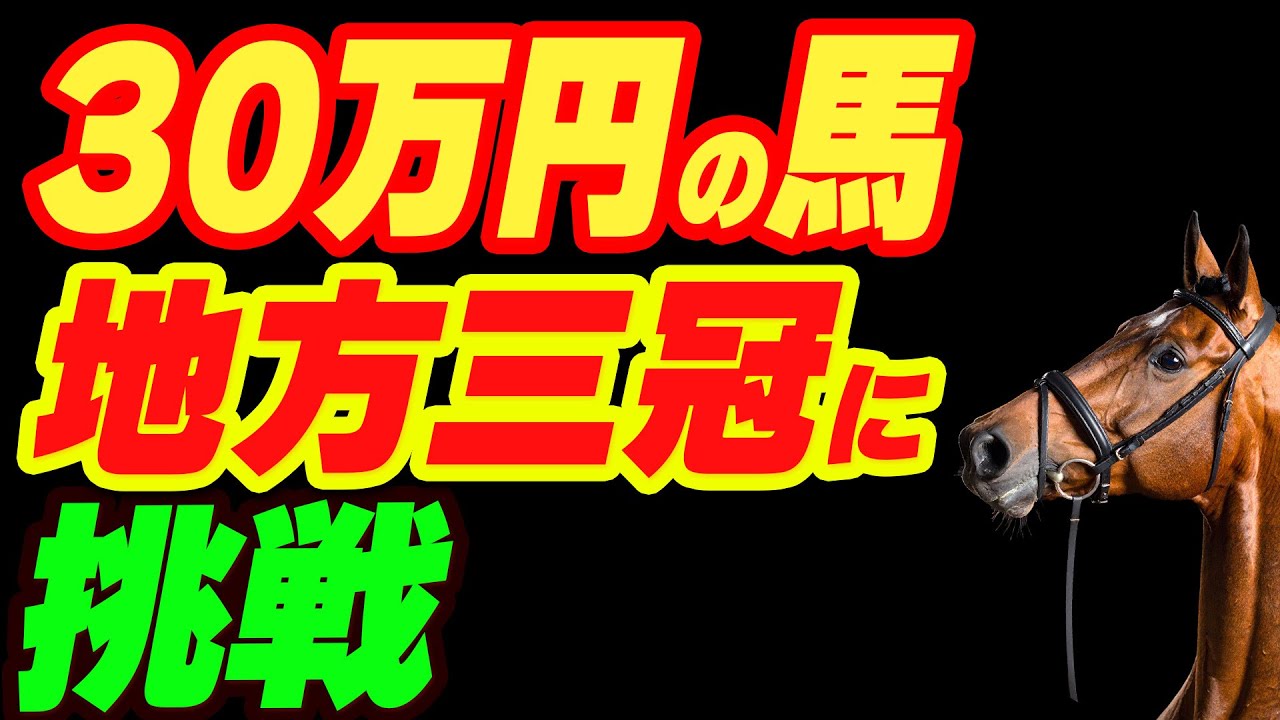 ①◆ 競馬 ◆ 競馬予想番組 サタうま ディープインパクト ◆三冠馬記念バッグ◆ 30万円の馬が地方三冠に挑戦 - YouTube