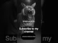 mehnt kro saflta jrur milegi #explore#trending#viral