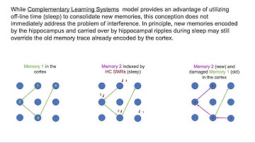 Maxim Bazhenov (UCSD) - Coordinated Replay Prevents Memory Interference (1/23/25)