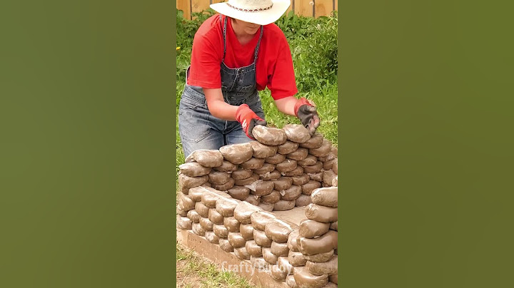 Building a Cement Dog House from the Ground Up