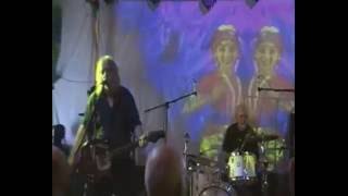 The Bevis Frond - Live at Sonic Rock Solstice Festival 2016