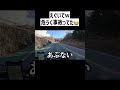イノシシはガチでビビったｗｗ#shorts