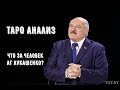 Расклад ТАРО. Разбор: "Что за человек А.Г. Лукашенко?"  Таро Беларусь .