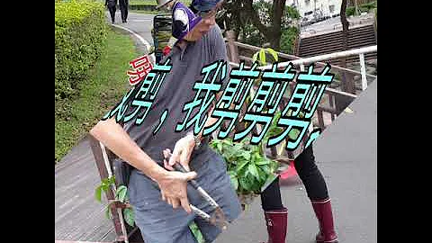 景美里幸福有里資收隊 - 天天要聞